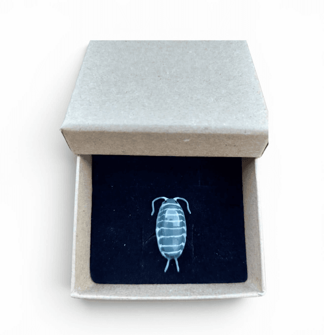 Pin's Porcellio hoffmannseggi