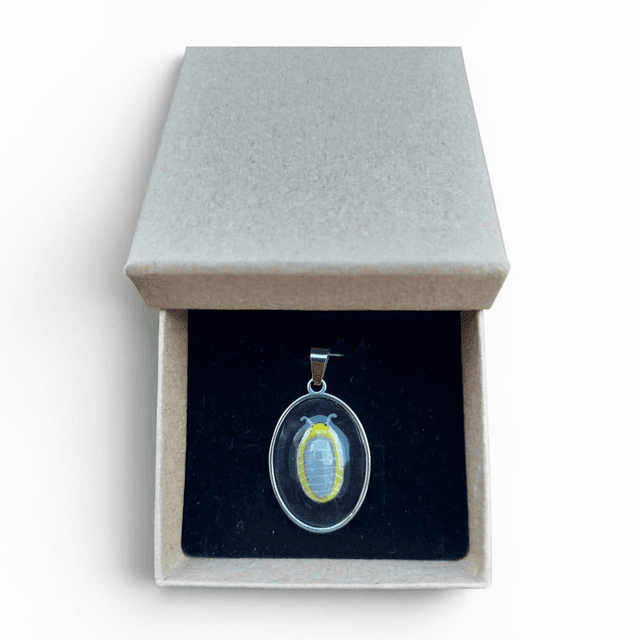 Pendentif encadré Cubaris sp. « Lemon blue »